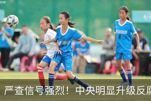 严查信号强烈！中央明显升级反腐“天网”！