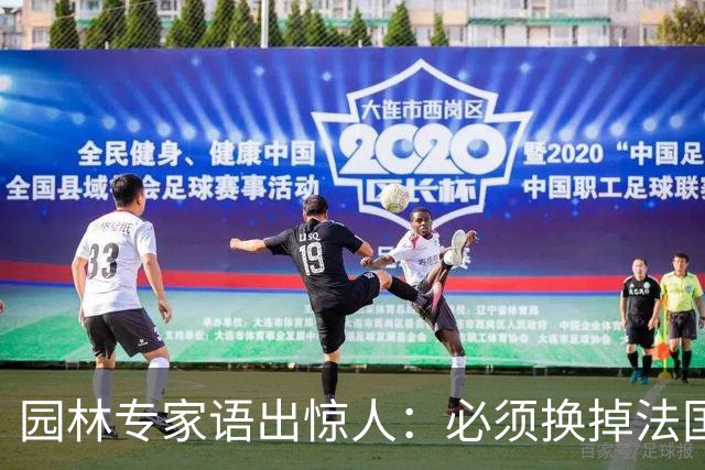园林专家语出惊人：必须换掉法国梧桐，有很多中国好树被“雪藏”
