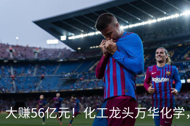 大赚56亿元！化工龙头万华化学，第三季度净利大增84%，股价较年内高点回撤近三成