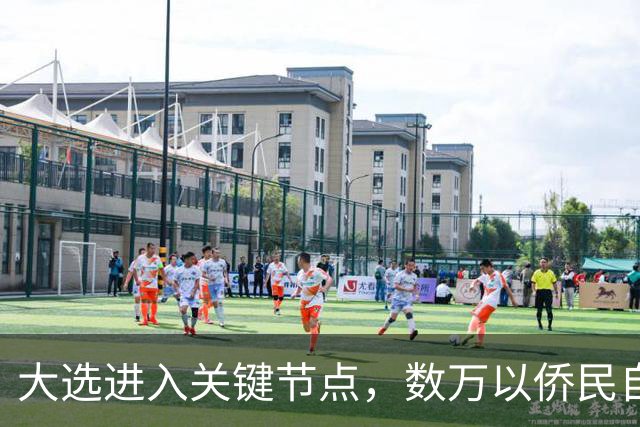 大选进入关键节点，数万以侨民自费回国，跨洋投票希望推翻现政府