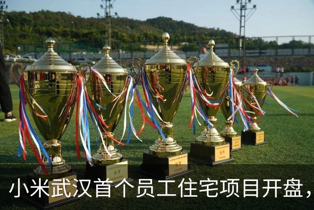 小米武汉首个员工住宅项目开盘，光谷梦享家备案均价13885元/平方米
