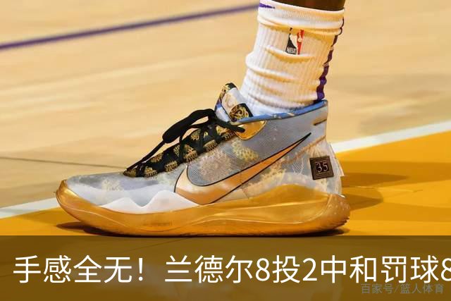 手感全无！兰德尔8投2中&罚球8中6 拿到10分7篮板7助攻
