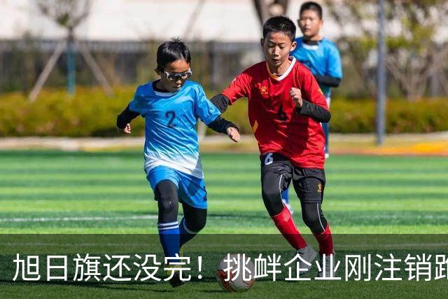 旭日旗还没完！挑衅企业刚注销跑路，又揪出5个跟风“一起披”的