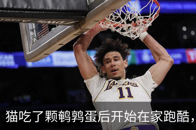 猫吃了颗鹌鹑蛋后开始在家跑酷，从客厅到厨房来回冲刺半小时，主人吓到发帖问“是不是吃坏了”，想不到评论区全是懂猫咪的“知音”
