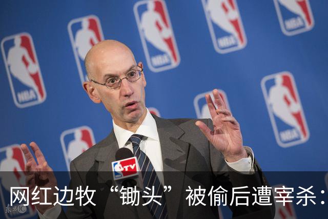 网红边牧“锄头”被偷后遭宰杀：主人接受和解，将全额捐出赔偿金