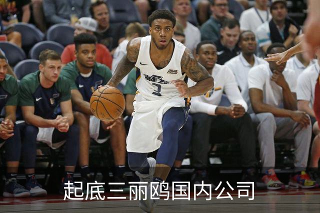 起底三丽鸥国内公司