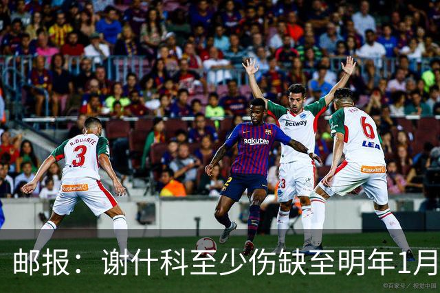邮报：谢什科至少伤缺至明年1月，曼联再遭打击