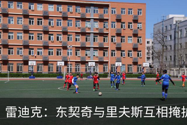 雷迪克：东契奇与里夫斯互相掩护能造优势，但得看对位