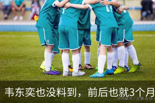韦东奕也没料到，前后也就3个月，王虹竟再向学术界亮出“王牌”