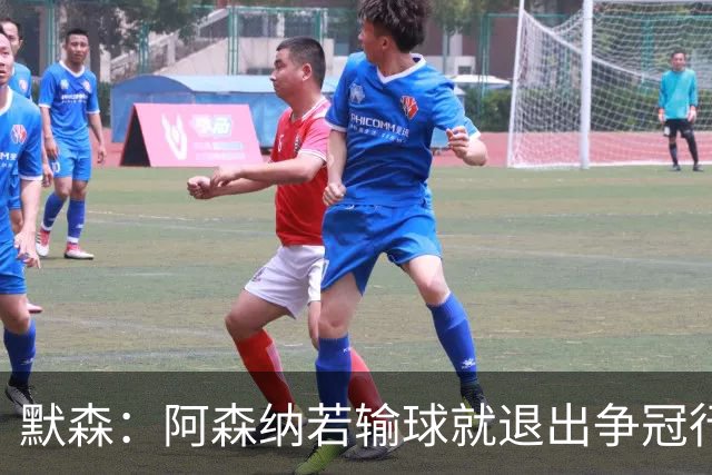 默森：阿森纳若输球就退出争冠行列 本场极其重要