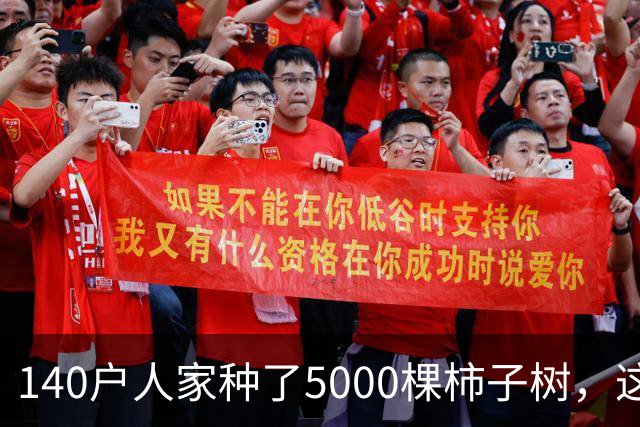 140户人家种了5000棵柿子树，这个浙江小村国庆6天来了8万人